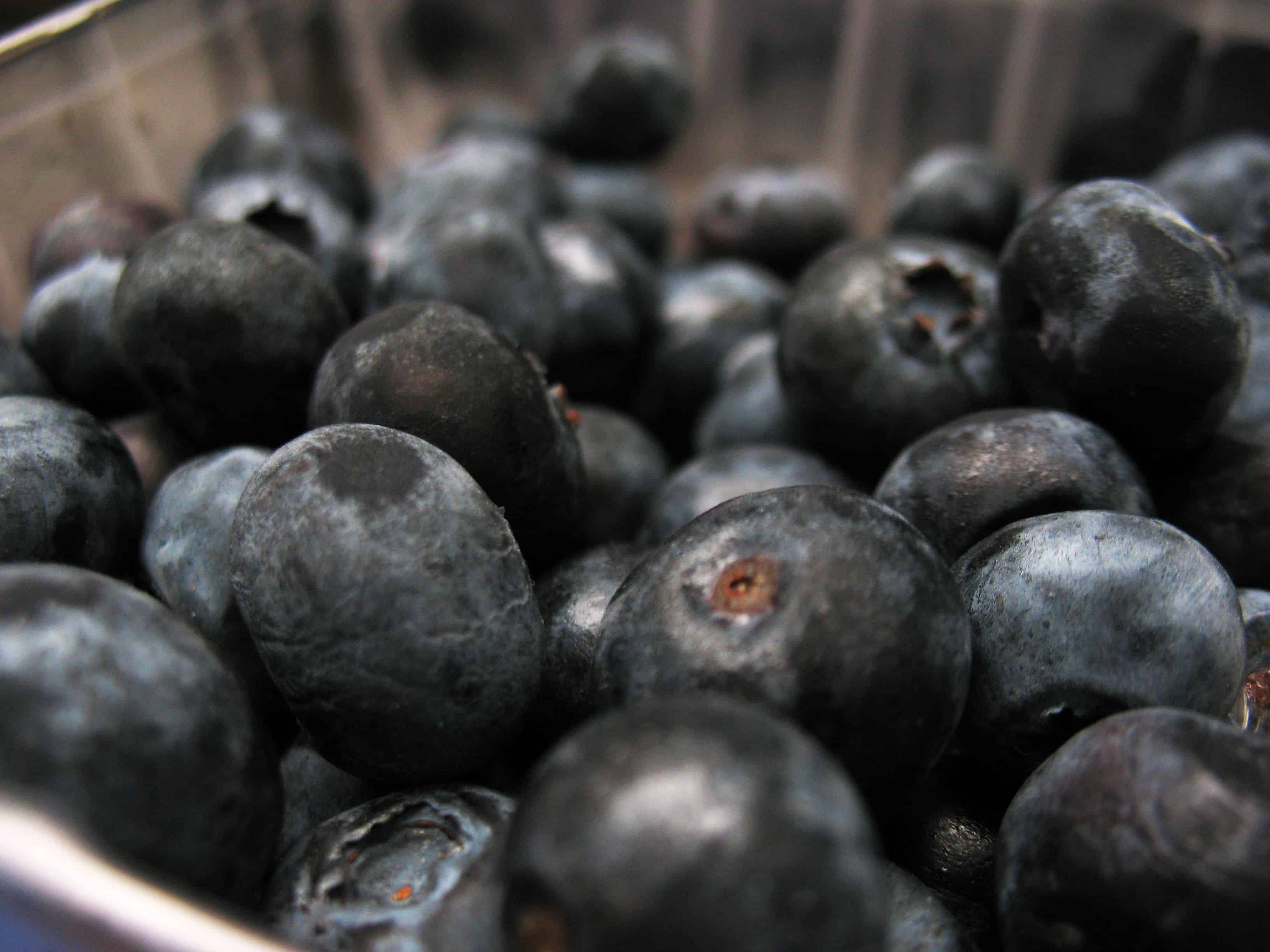 Homemade Blueberry Wine Recipe