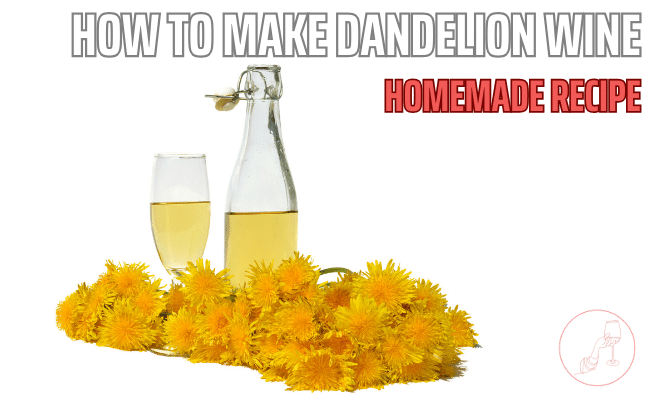 Dandelions and dandelion wine