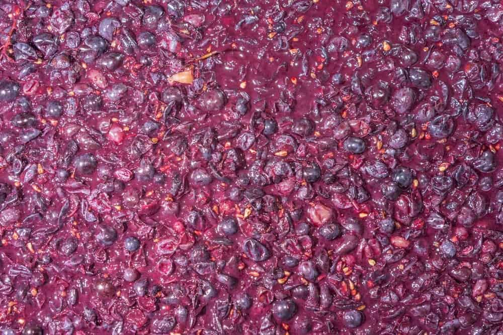 Process of a fermentation of wine, top view of red grapes
