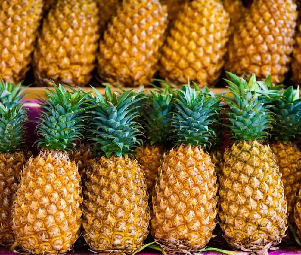 Fresh pineapple  for sale.