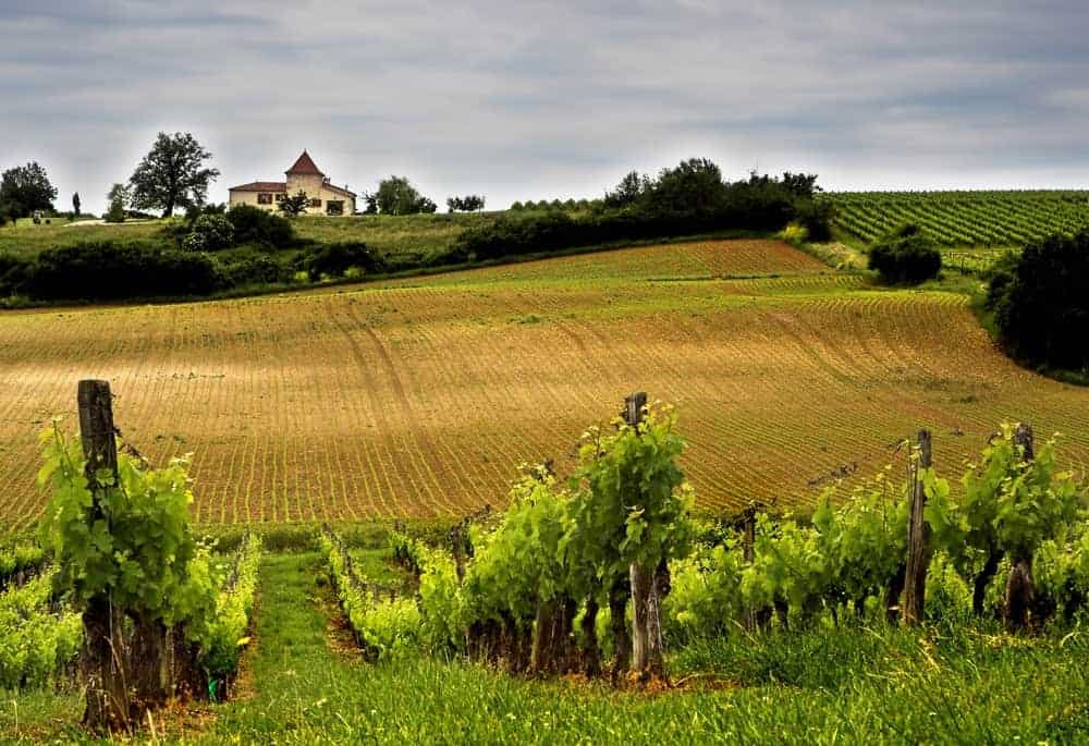French winery in Aquitaine