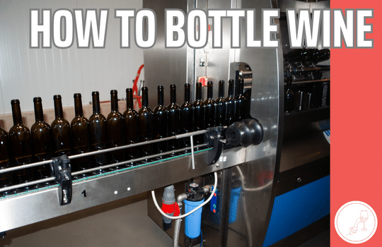 bottling wine with machine