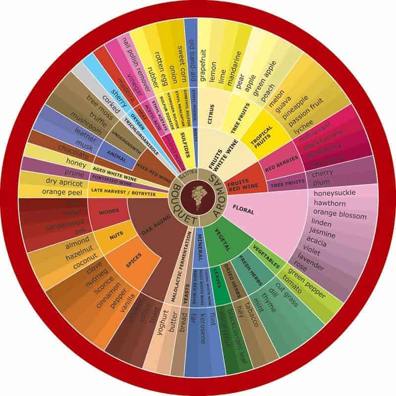 Wine Flavors charts