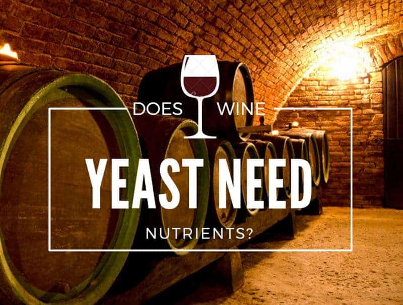 Does Wine Yeast Need Nutrients?
