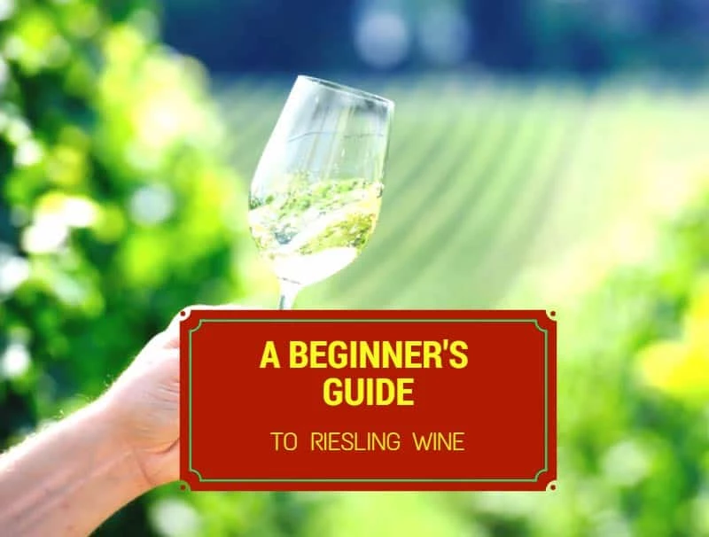 A Beginner's Guide To Riesling Wine