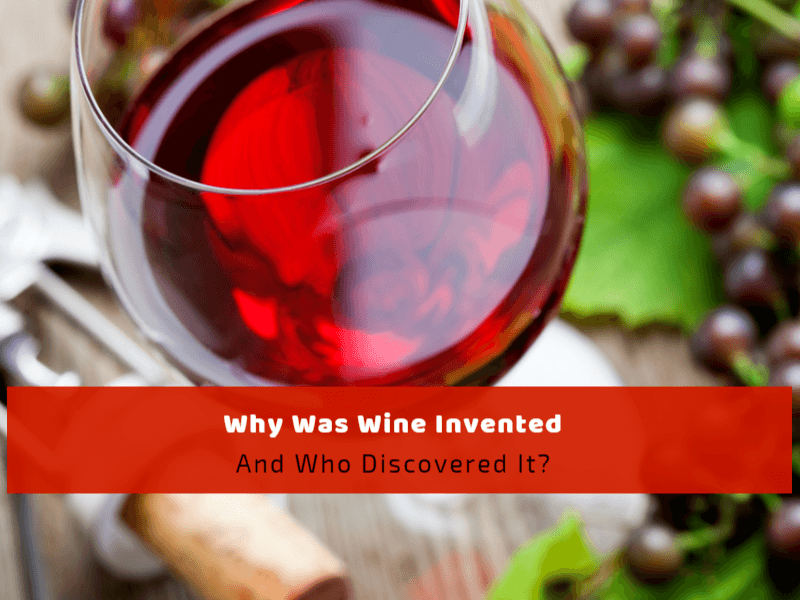 Why Was Wine Invented and Who Discovered It