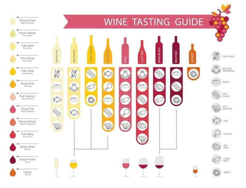 Wine infographics with food pairing, bottle and glass type, wine types and colours.