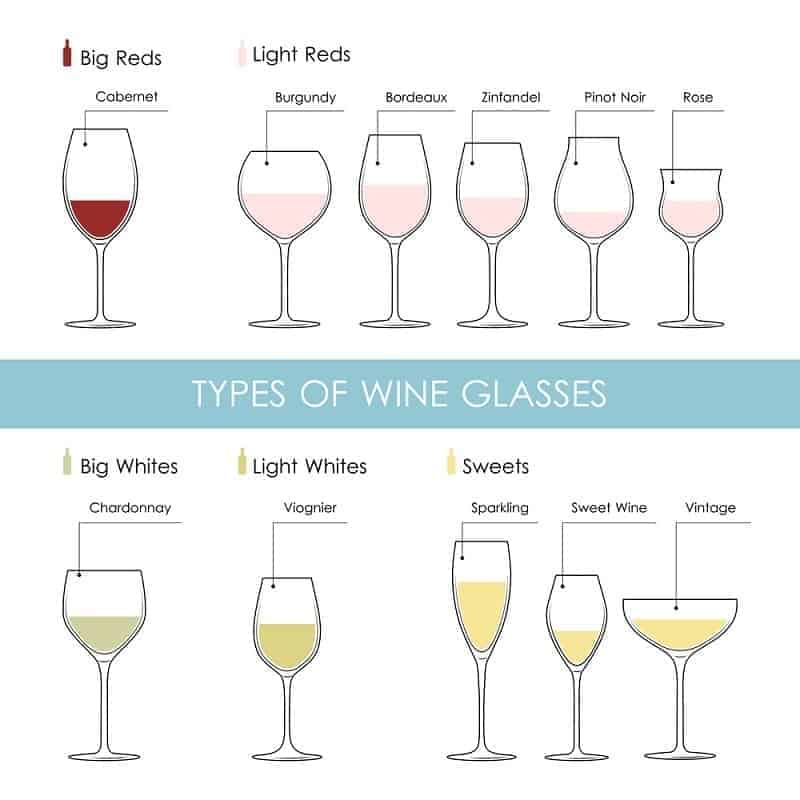 Set of types of wine and glasses red white sparkling and dessert wine