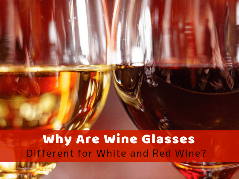 Why Are Wine Glasses Different For White And Red Wine?
