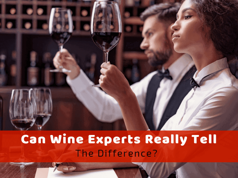 Can Wine Experts Really Tell The Difference Or Are Wine Snobs Just Faking It?