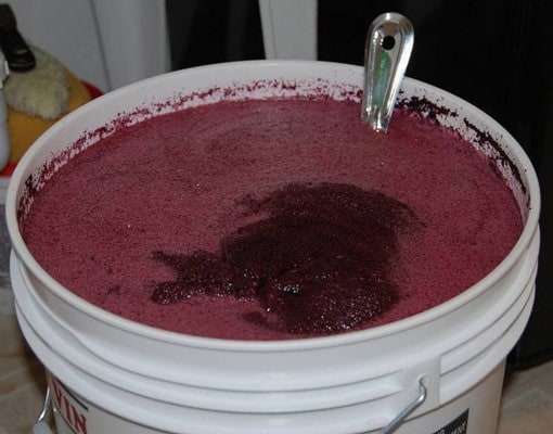 making-blackberry-wine