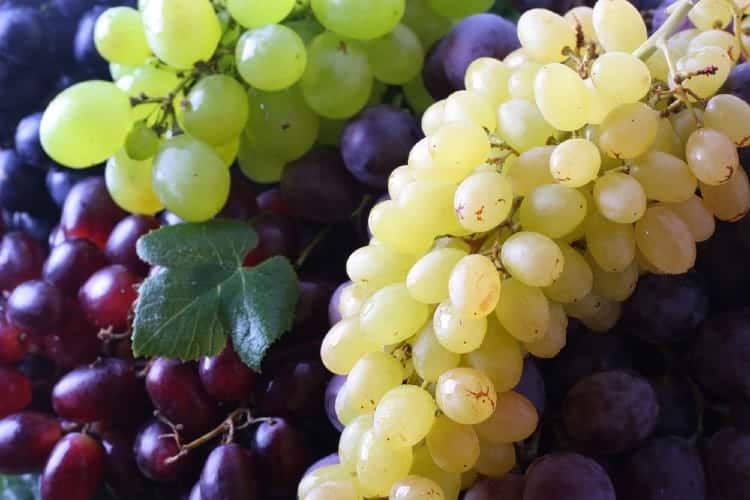 grape types