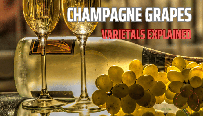 champagne grapes and a bottle and two glasses