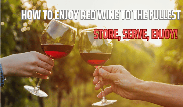 red wine glasses being held in vineyard