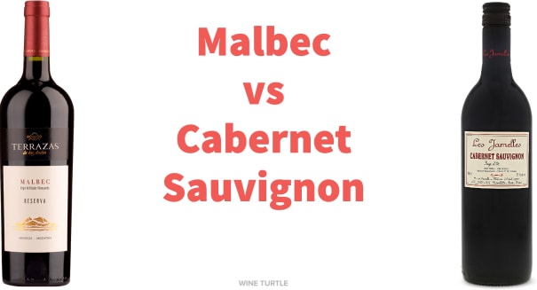 Malbec vs Cabernet Sauvignon main image