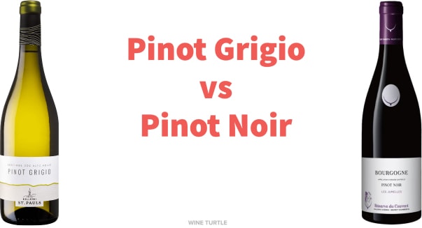 Pinot Grigio vs Pinot Noir main