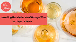 Orange wine guide