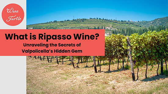Ripasso wine
