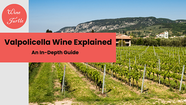 Valpolicella wine explained