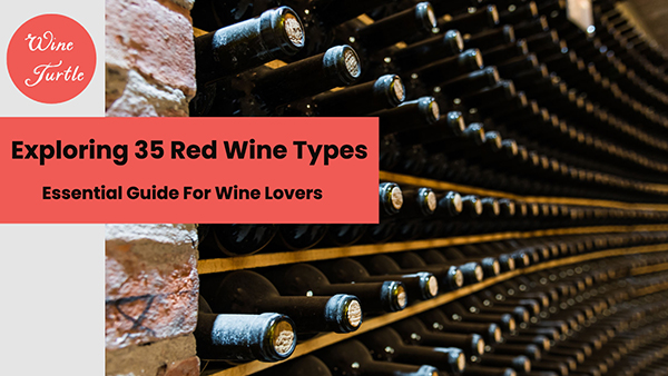 Red wine types
