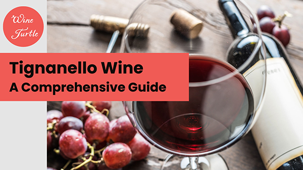 Tignanello wine guide