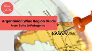 Argentinian wine regions