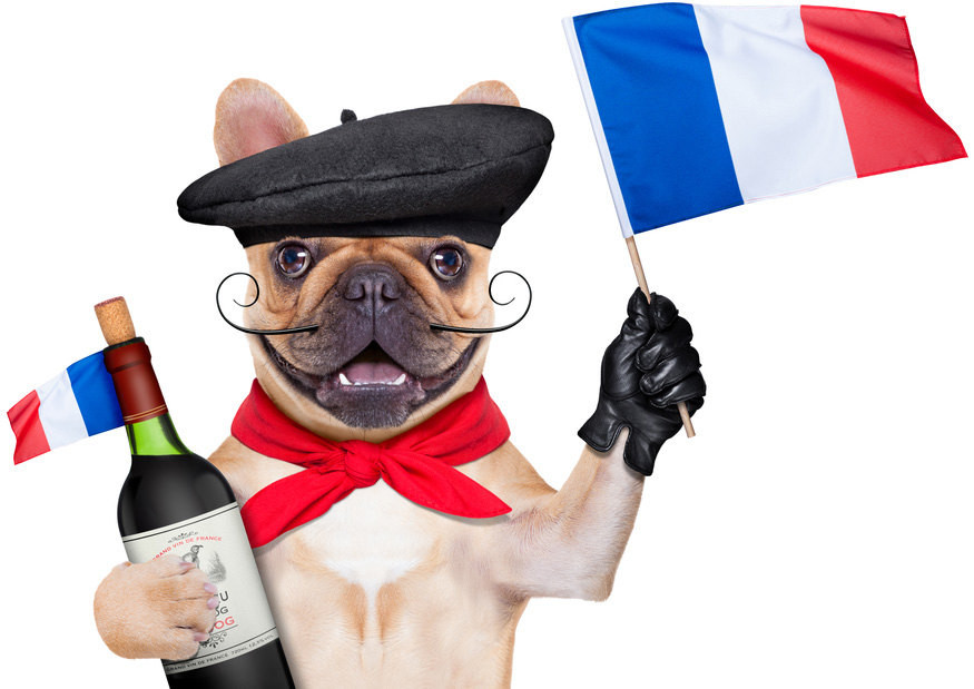 French bulldog with wine bottle and flag