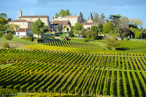 Vineyards of Saint Emilion in Bordeaux