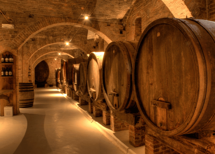 Wine cellar with big wine barrels